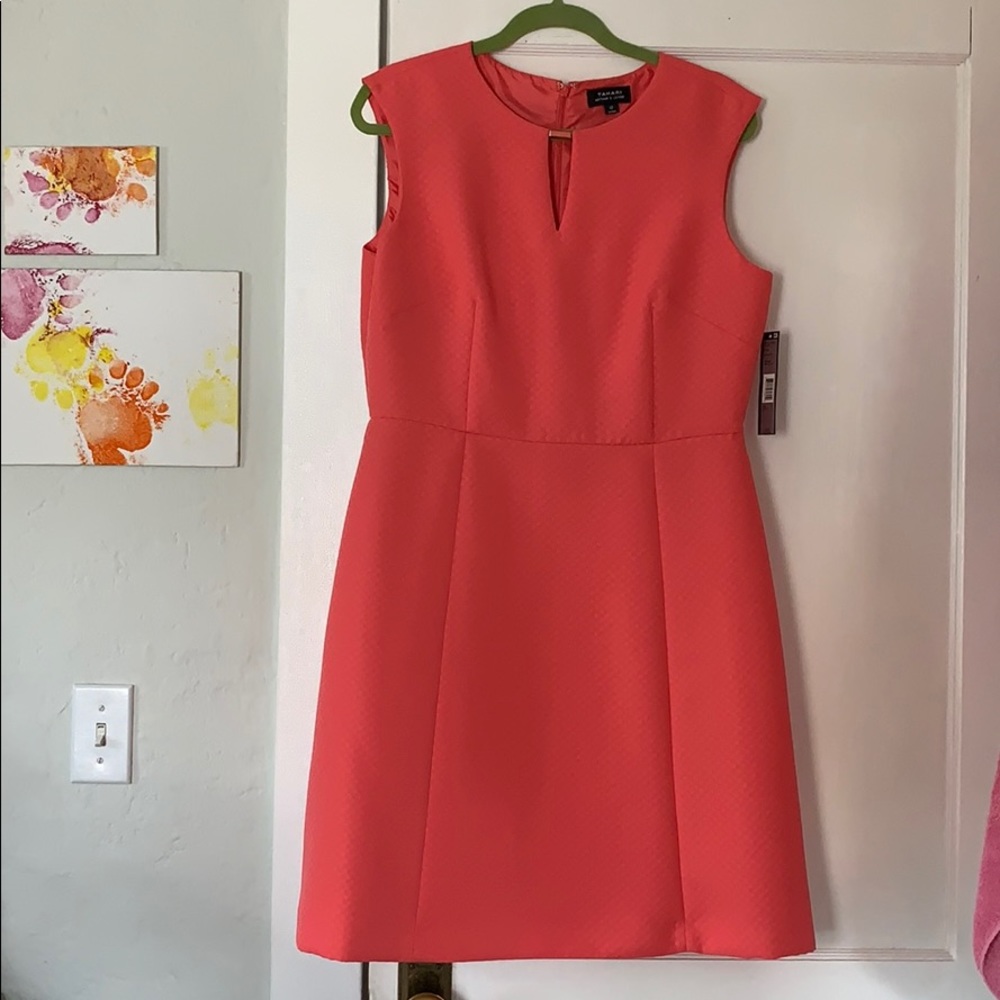 NWT Tahiri Dress